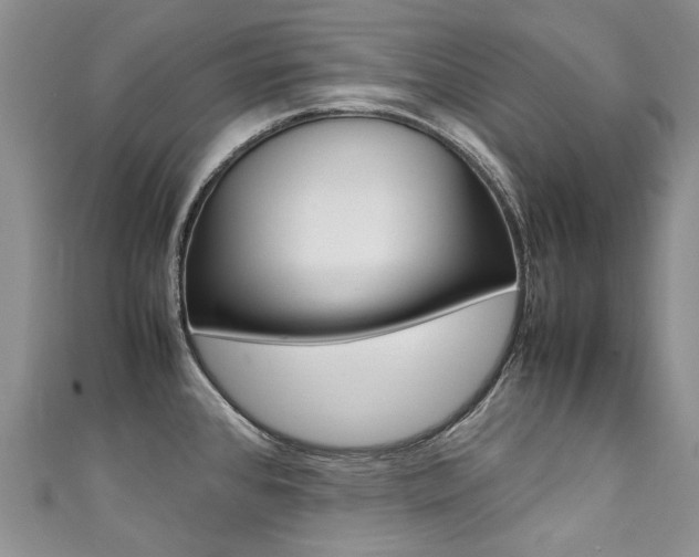 X0000111371384200907101008