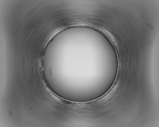 X0000111371385200907101008