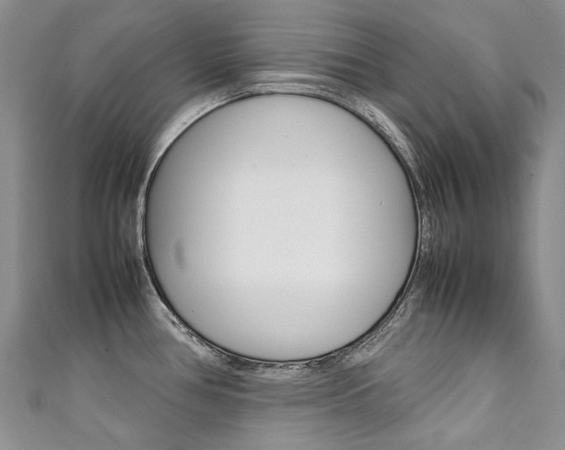 X0000111371386200907101008