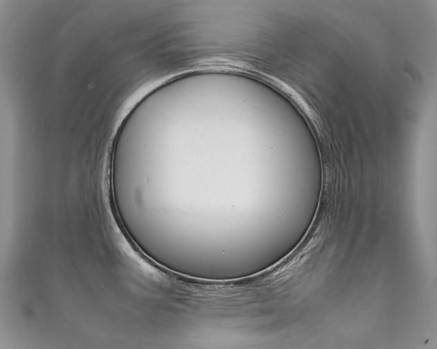 X0000111371387200907101008