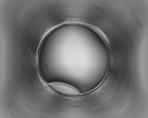 X0000111371388200907101008