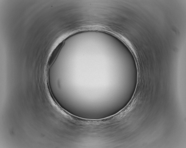 X0000111371389200907101008