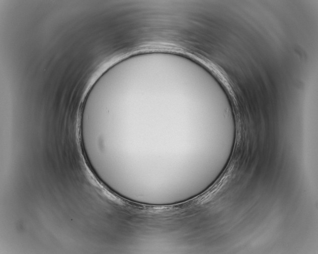 X0000111371390200907101008
