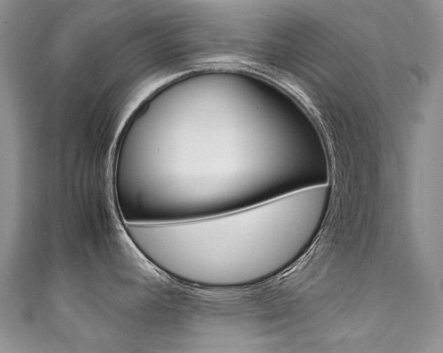 X0000111371392200907101008