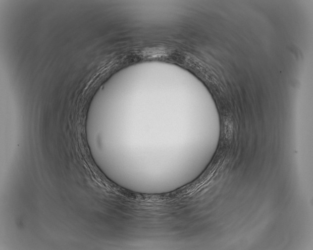 X0000111371393200907101007