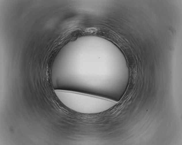 X0000111371394200907101007