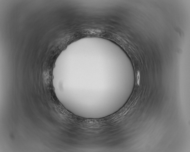 X0000111371395200907101007