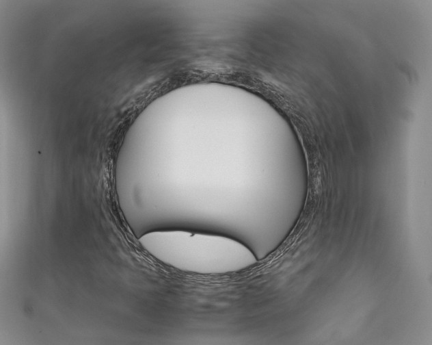 X0000111371397200907101007