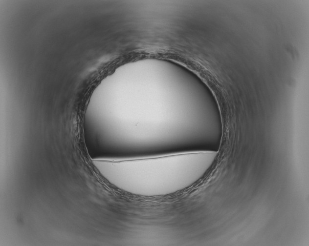 X0000111371398200907101008