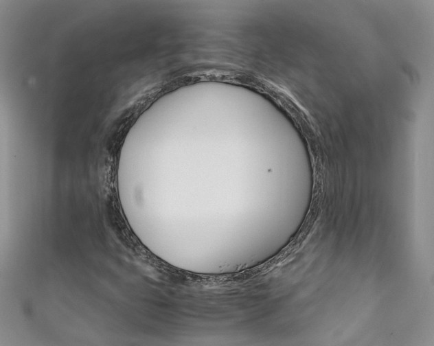 X0000111371399200907101008