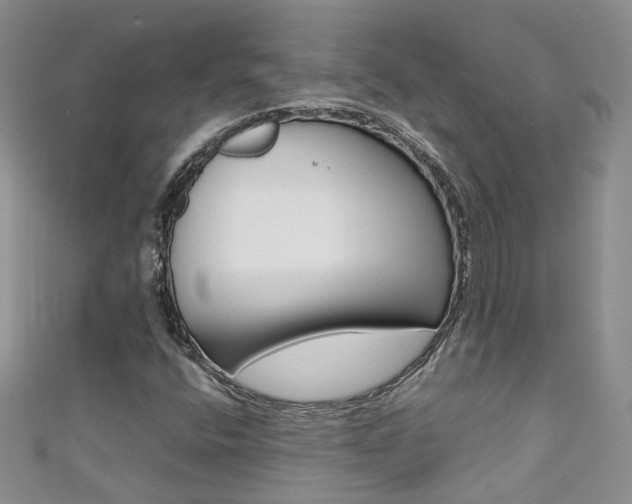 X0000111371400200907101008