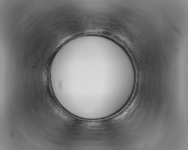 X0000111371401200907101008