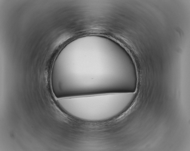 X0000111371402200907101008