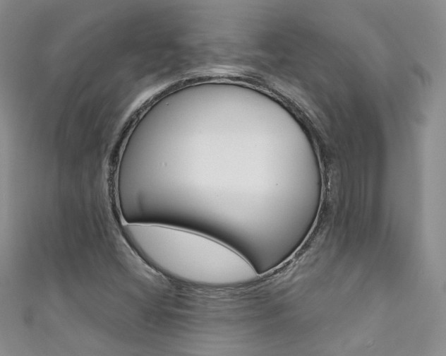 X0000111371404200907101008