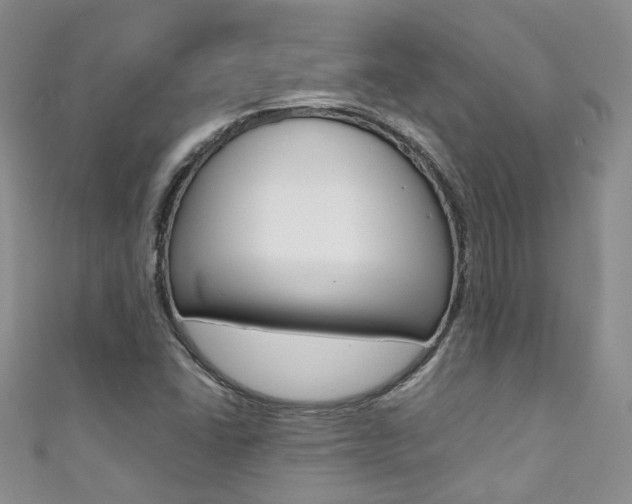 X0000111371406200907101008