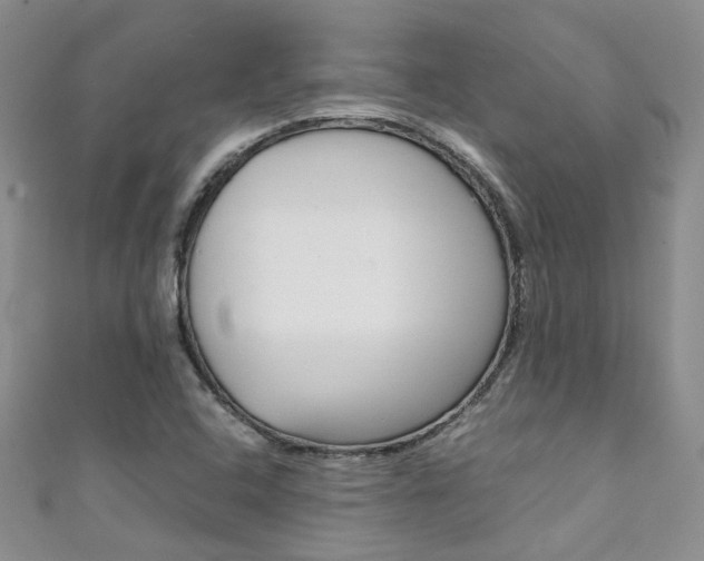 X0000111371408200907101008