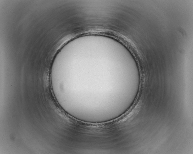 X0000111371409200907101008