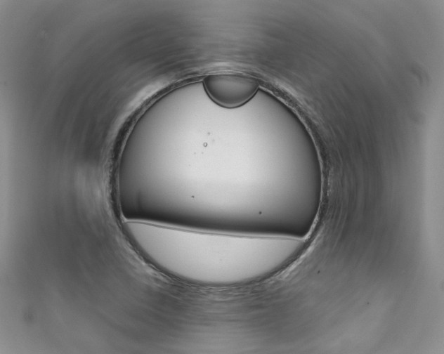 X0000111371410200907101008