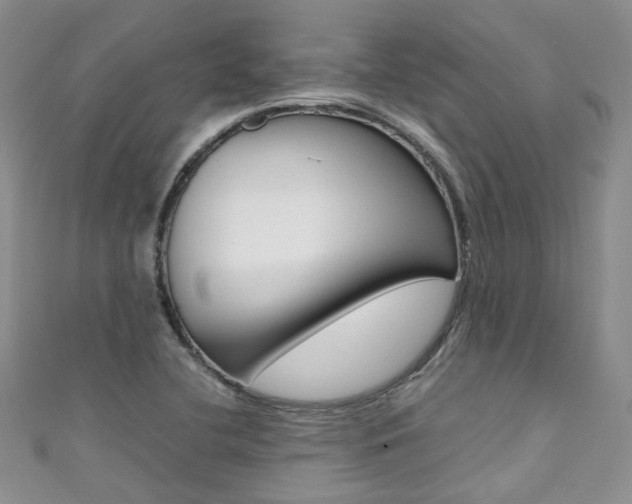 X0000111371412200907101008