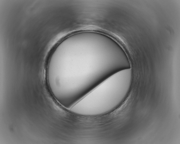 X0000111371414200907101008