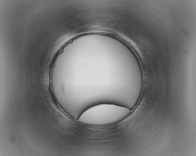 X0000111371415200907101008