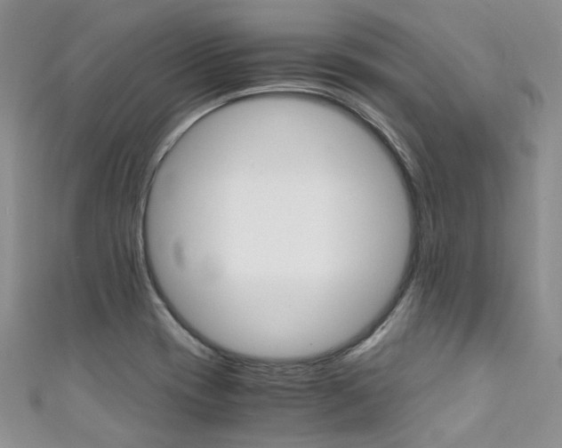 X0000111371417200907101008
