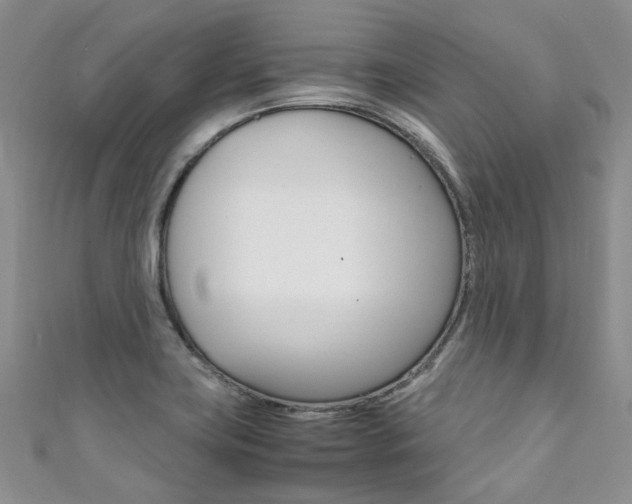 X0000111371419200907101008