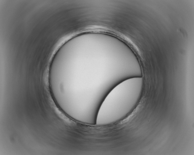 X0000111371421200907101008