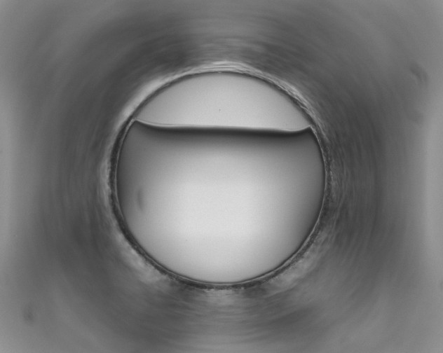 X0000111371422200907101008