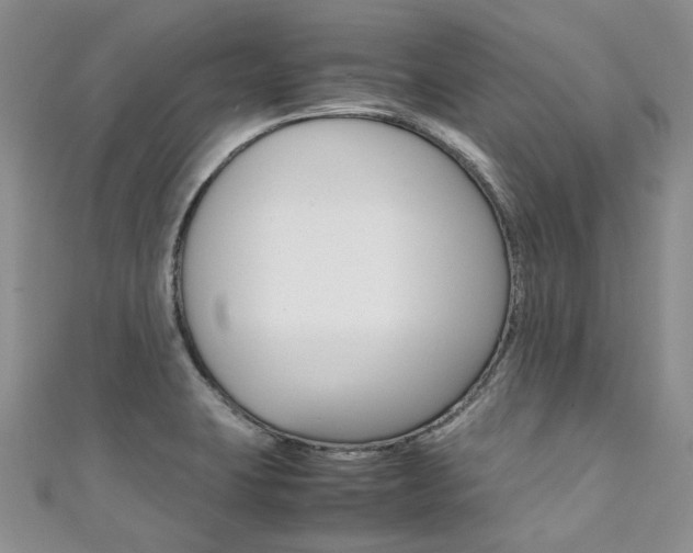 X0000111371423200907101008