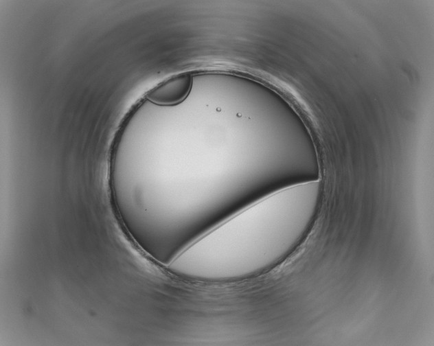 X0000111371424200907101008
