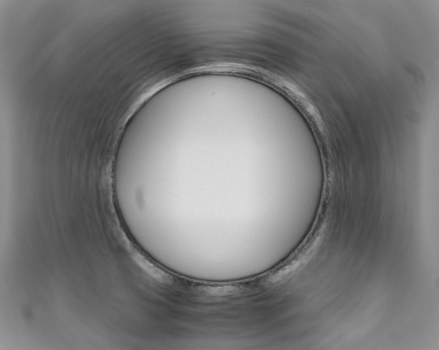 X0000111371425200907101008
