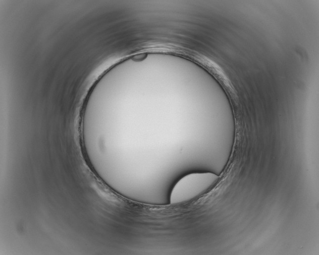X0000111371427200907101008
