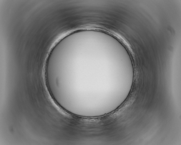 X0000111371429200907101008