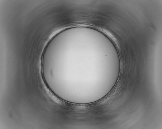 X0000111371431200907101008