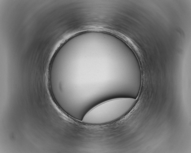 X0000111371432200907101008