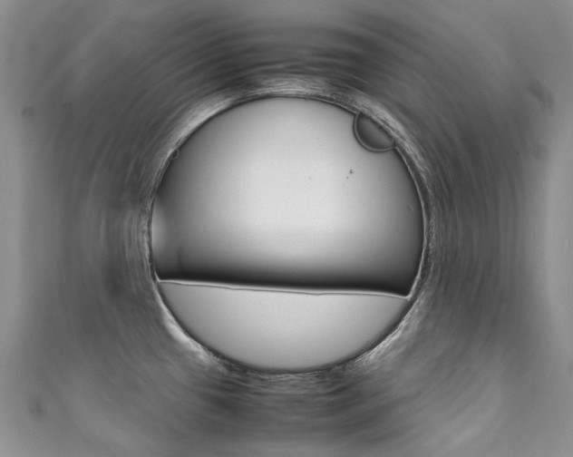 X0000111371433200907101008