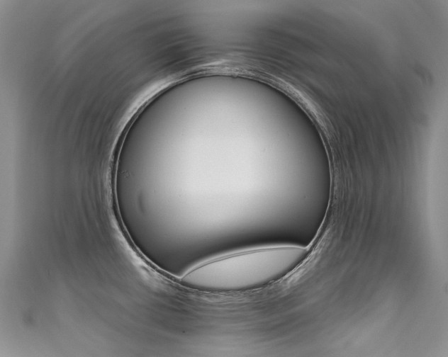 X0000111371434200907101008