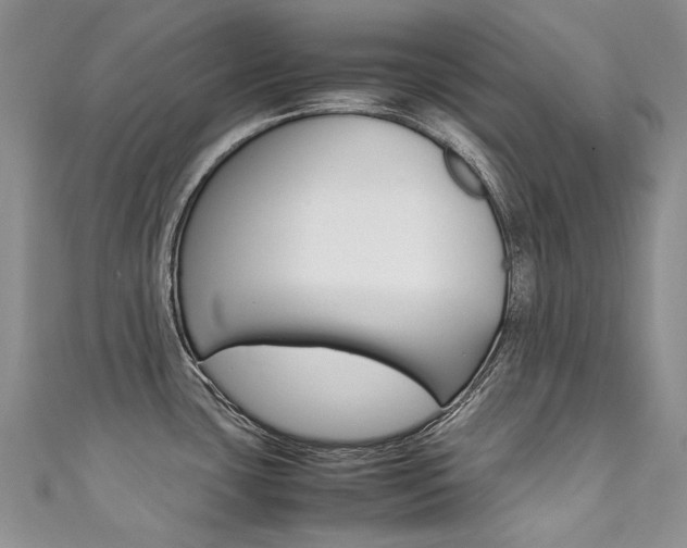 X0000111371435200907101008