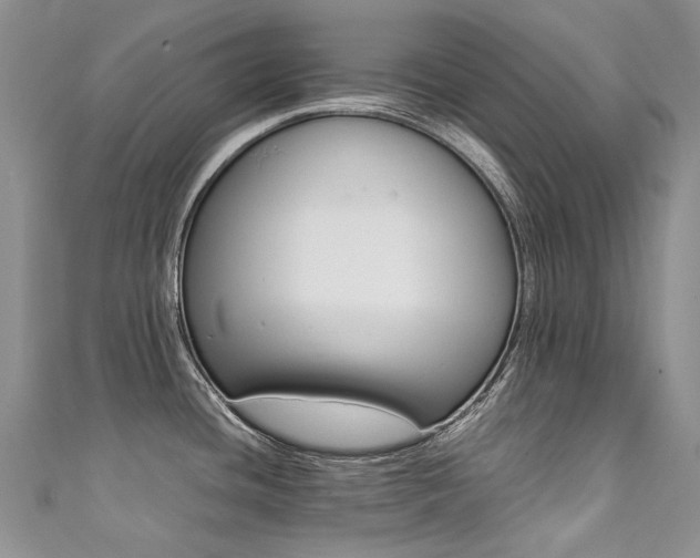 X0000111371436200907101008