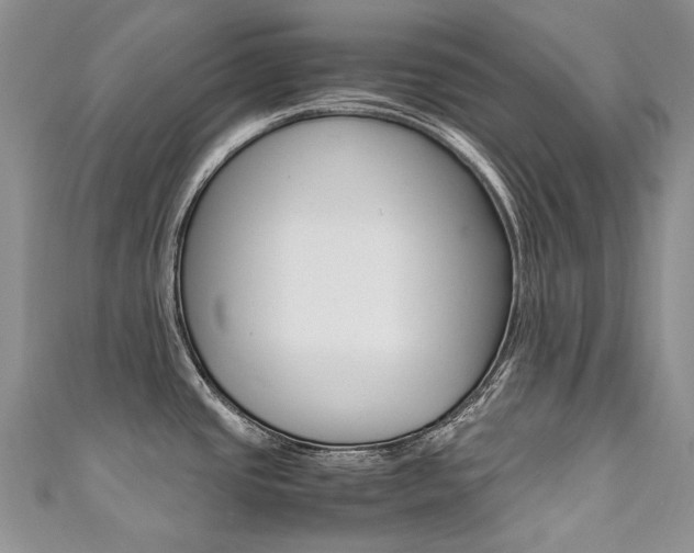 X0000111371437200907101008