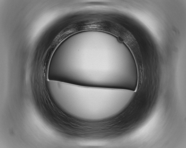 X0000111371438200907101008