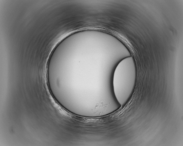 X0000111371439200907101008