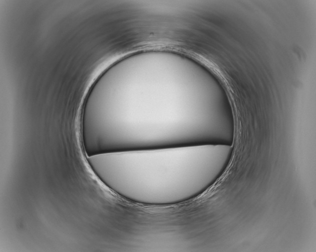 X0000111371440200907101008