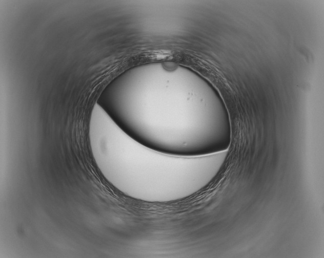 X0000111371442200907101007