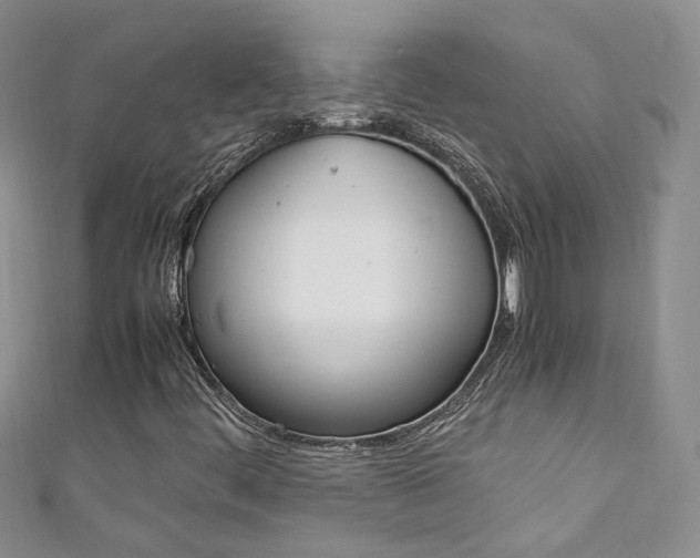 X0000111371444200907101007
