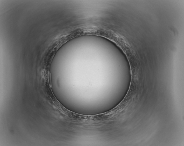 X0000111371445200907101007