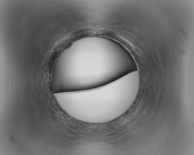 X0000111371447200907101007