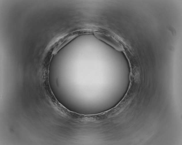 X0000111371448200907101007