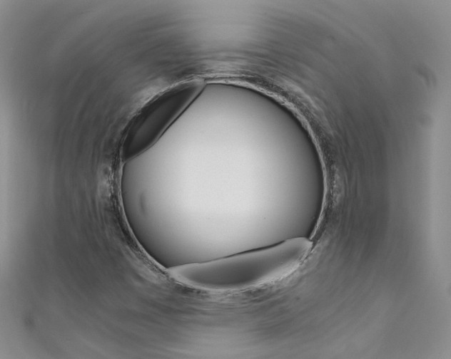 X0000111371449200907101007